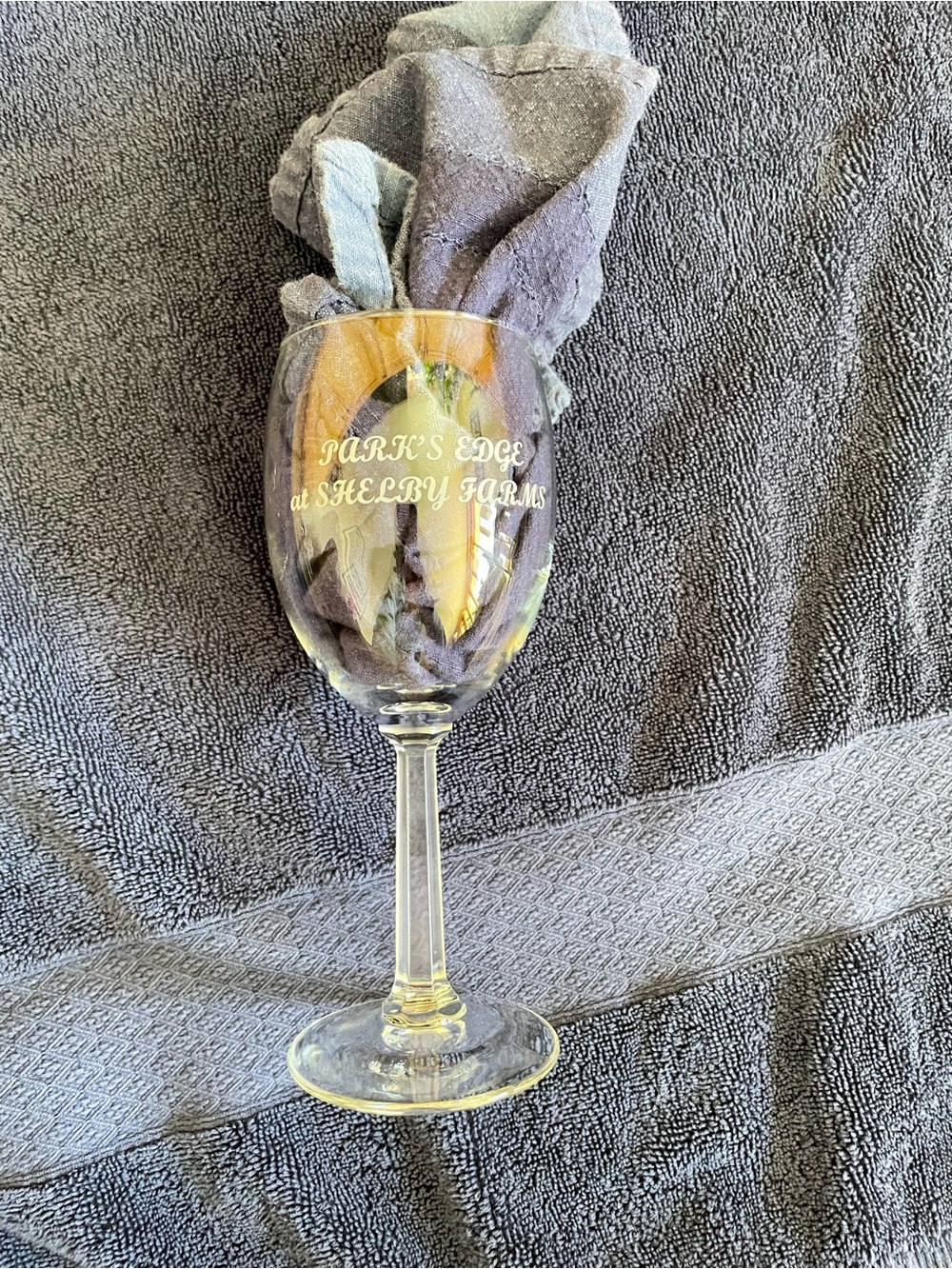 Park’s Edge At Shelby Farms Tennessee 7” Wine Glass Souvenir